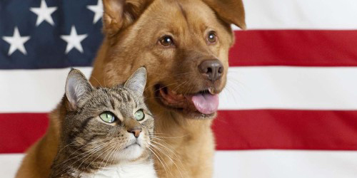 pets_flag