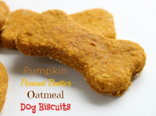 Pumpkin Peanut Butter Oatmeal Dog Biscuits 