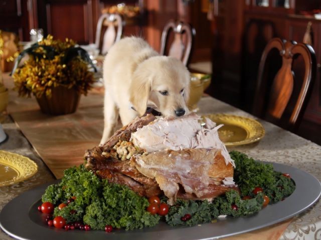 Safe Thanksgiving foods